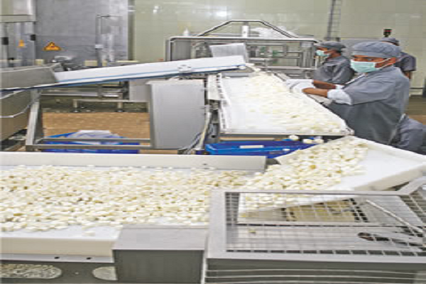 Paneer Processing Technologies